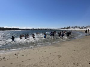 Arctic Seal Plunge