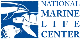 National Marine Life Center